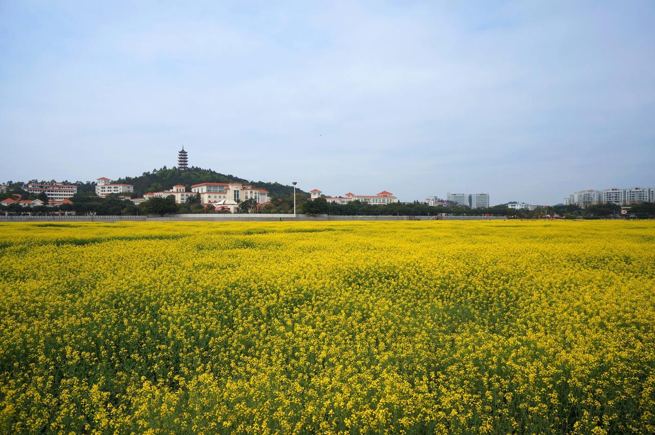 Dongguan Goodview Hotel Sangem Qiaotou Bagian luar foto