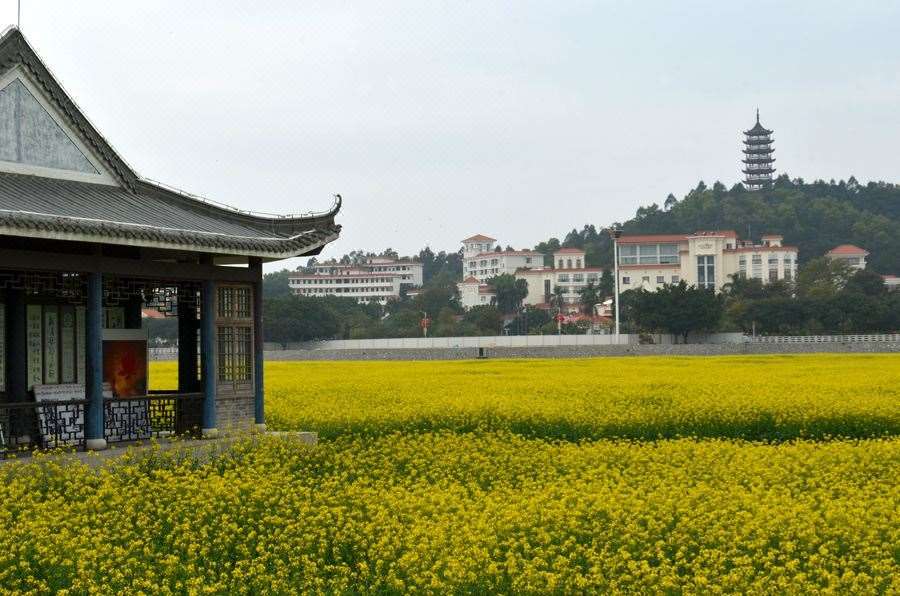 Dongguan Goodview Hotel Sangem Qiaotou Fasilitas foto